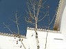 2007_Malaga - 076